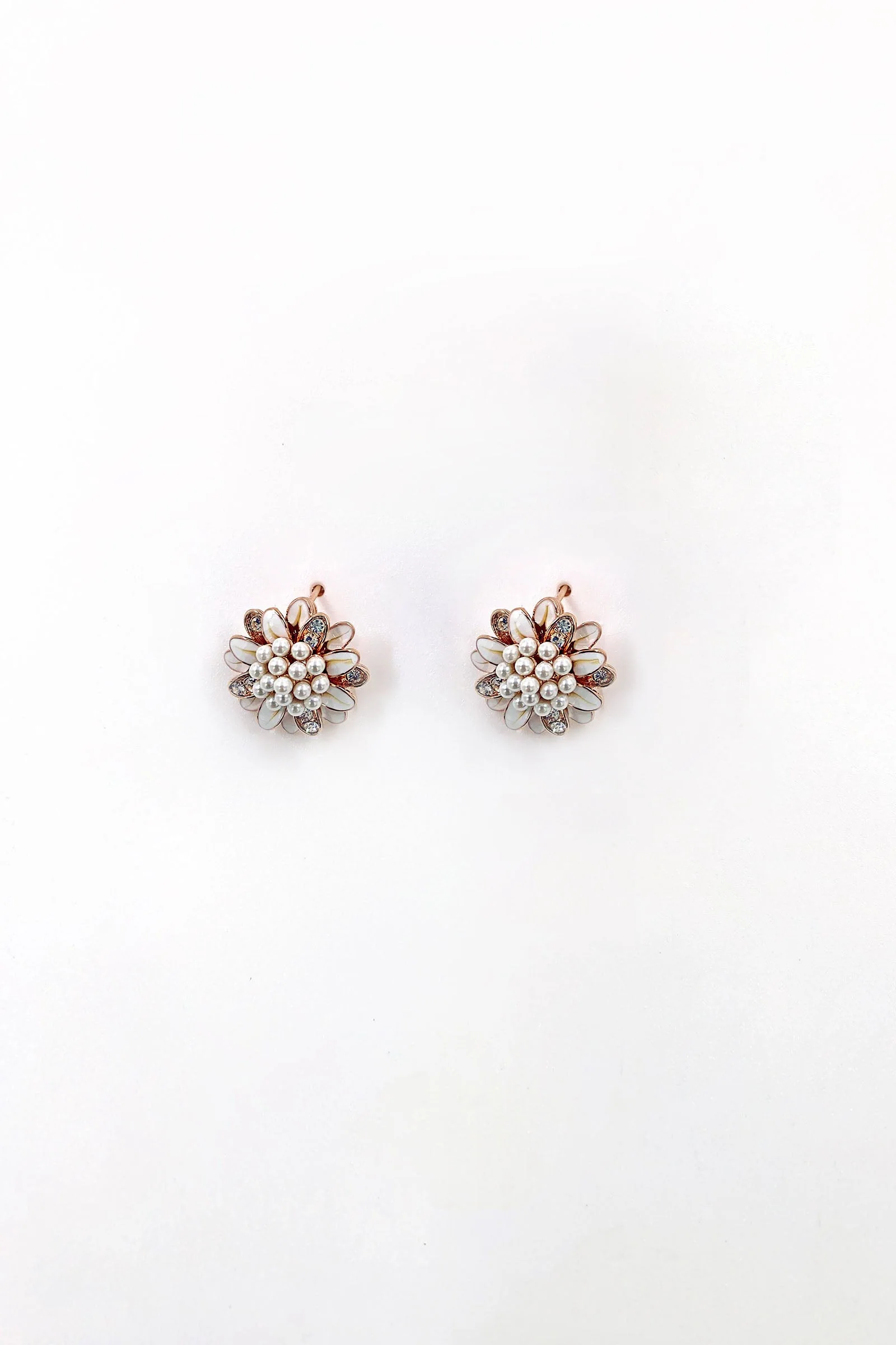 Earrings | AER-S24-11