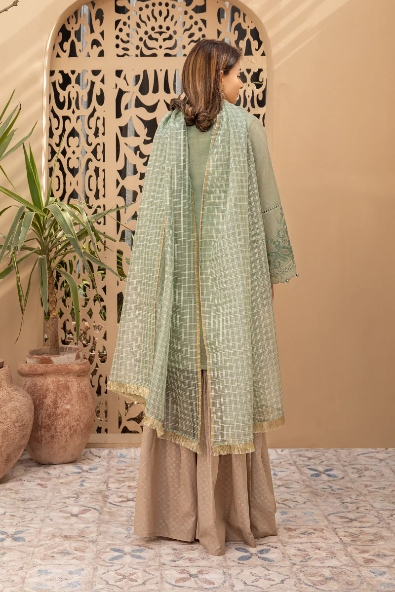 Suit Pista Green DW-EA20-03 - Image 3