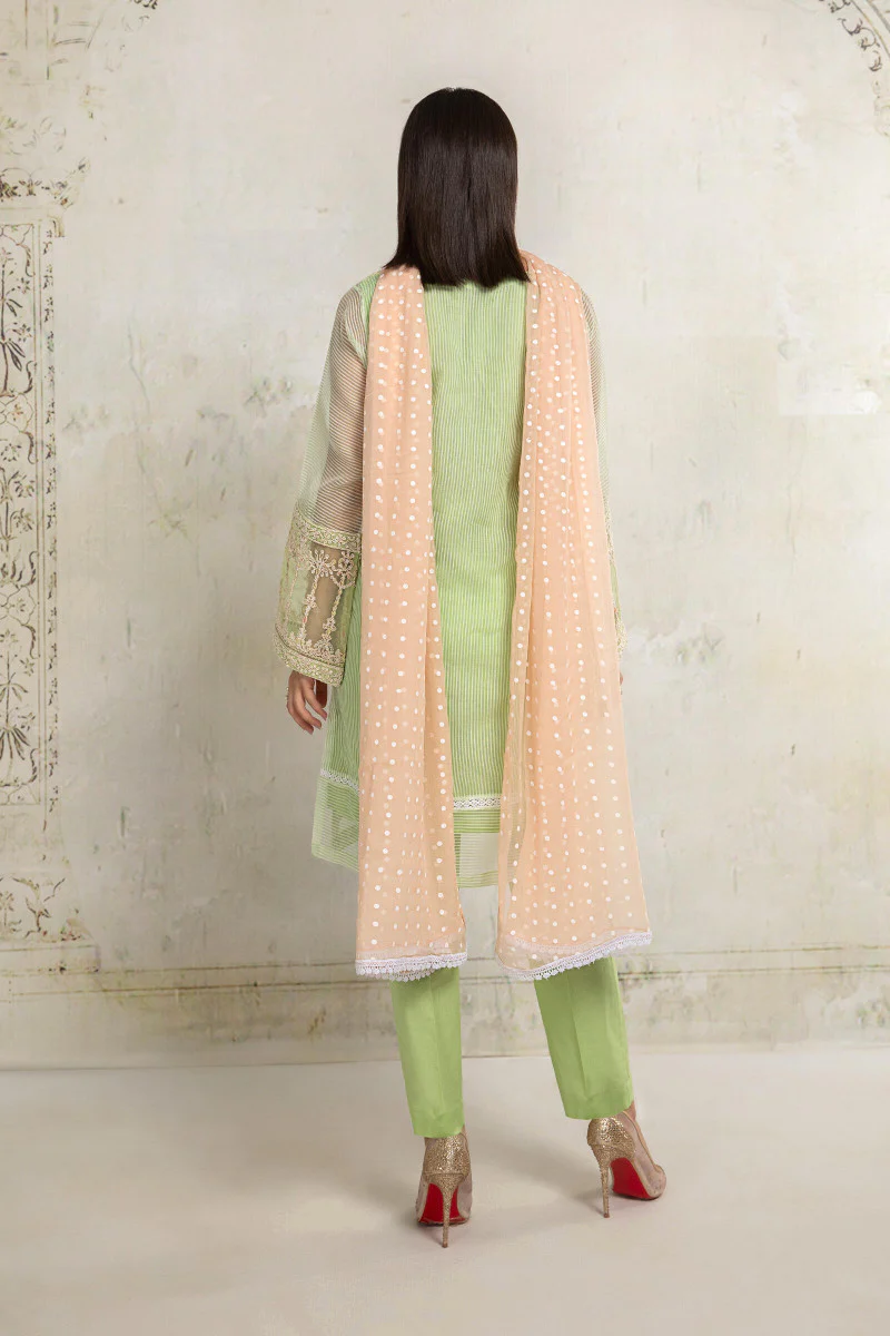 Suit Green DW-EA20-20 - Image 3