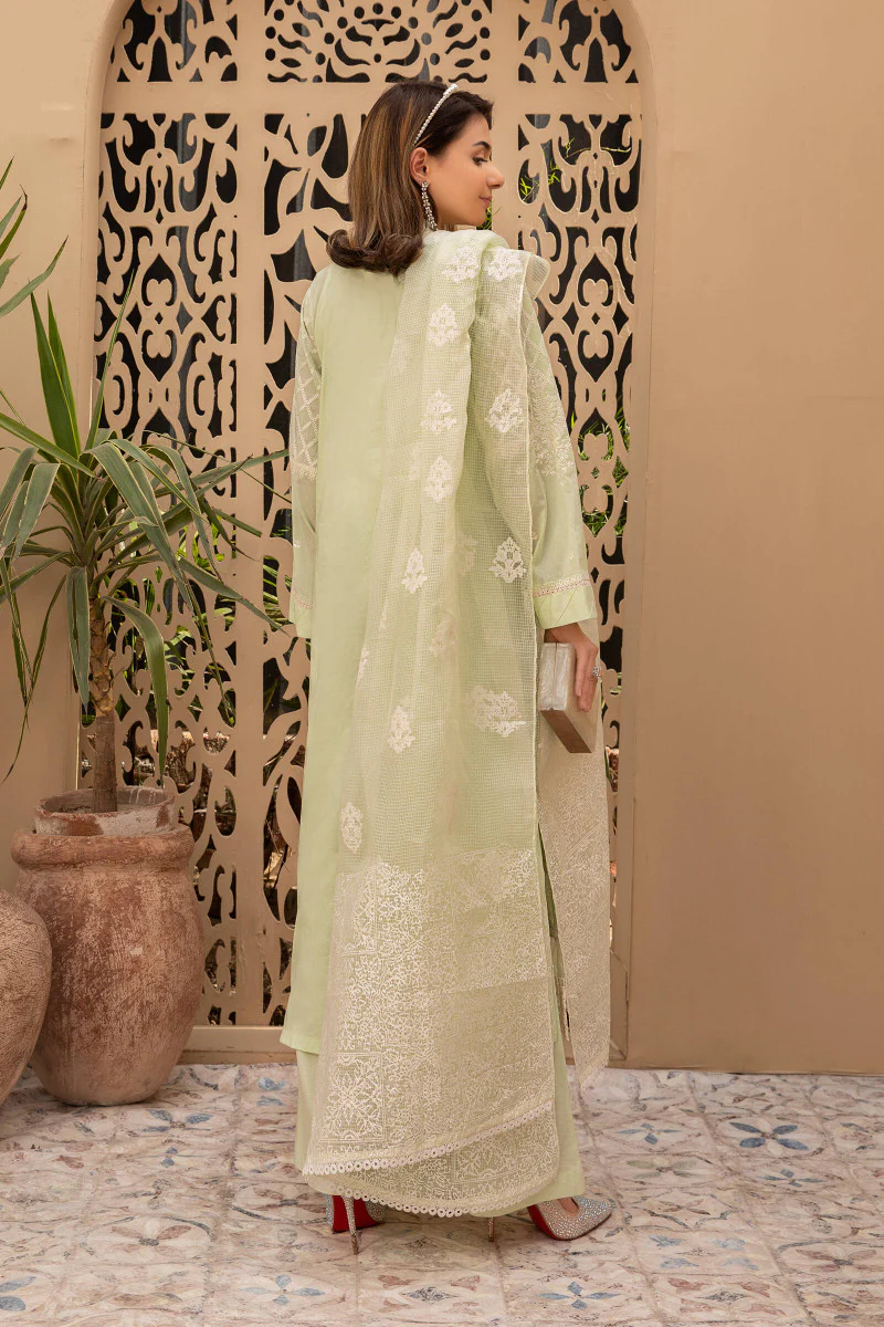 Suit Green DW-EF21-44 - Image 3