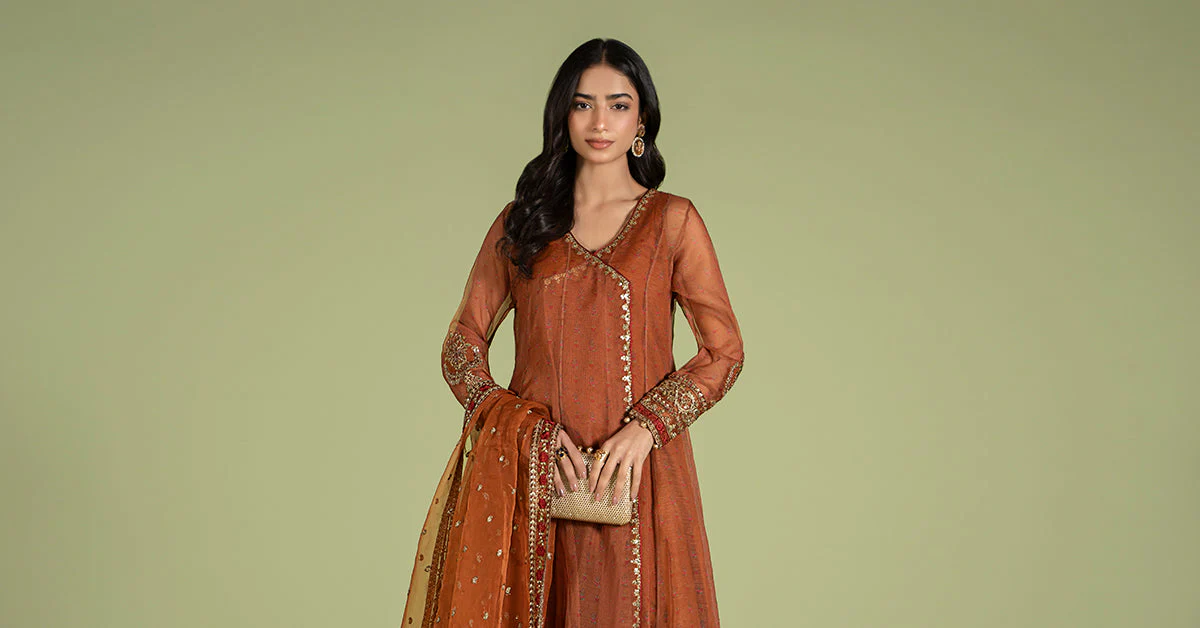 3 Piece Embroidered Net Organza Suit - Image 9