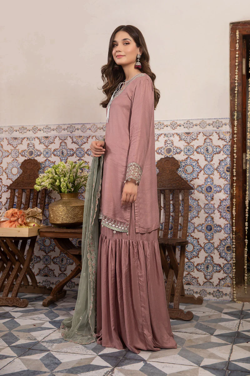 Suit Ash Pink DW-W22-72 - Image 3