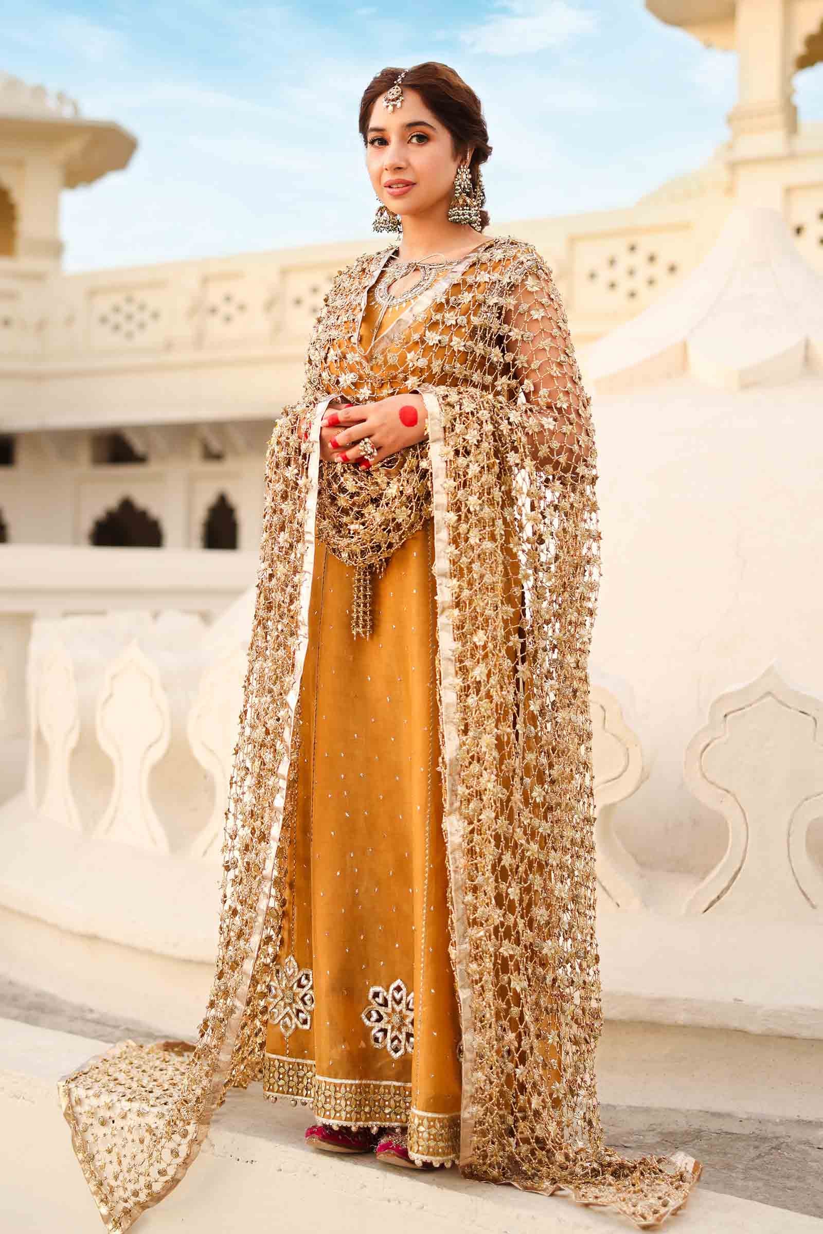 Roshanara Begum - Image 4