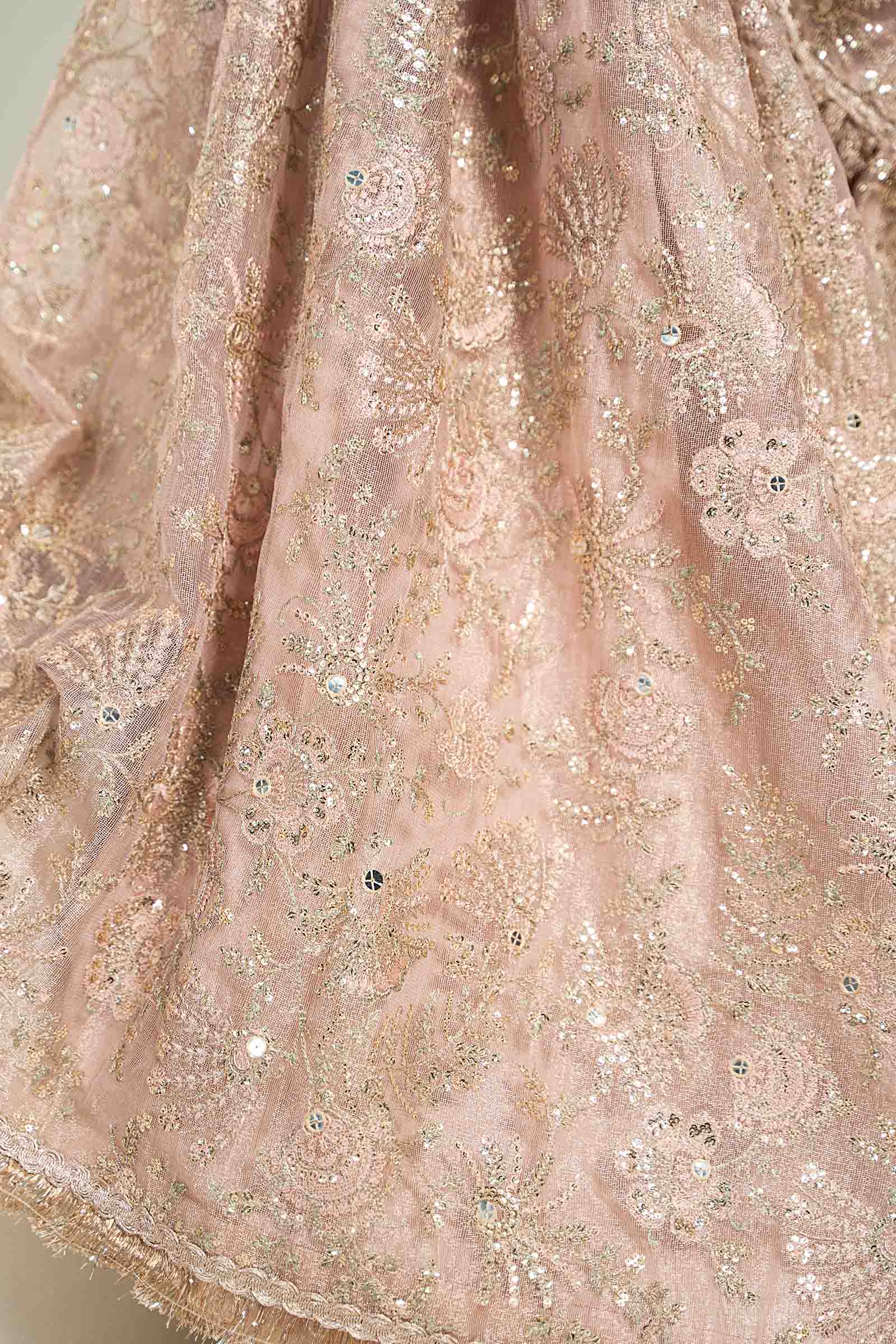 Embroidered Zari Net Fabric (2Pcs) | LF-727 - Image 3
