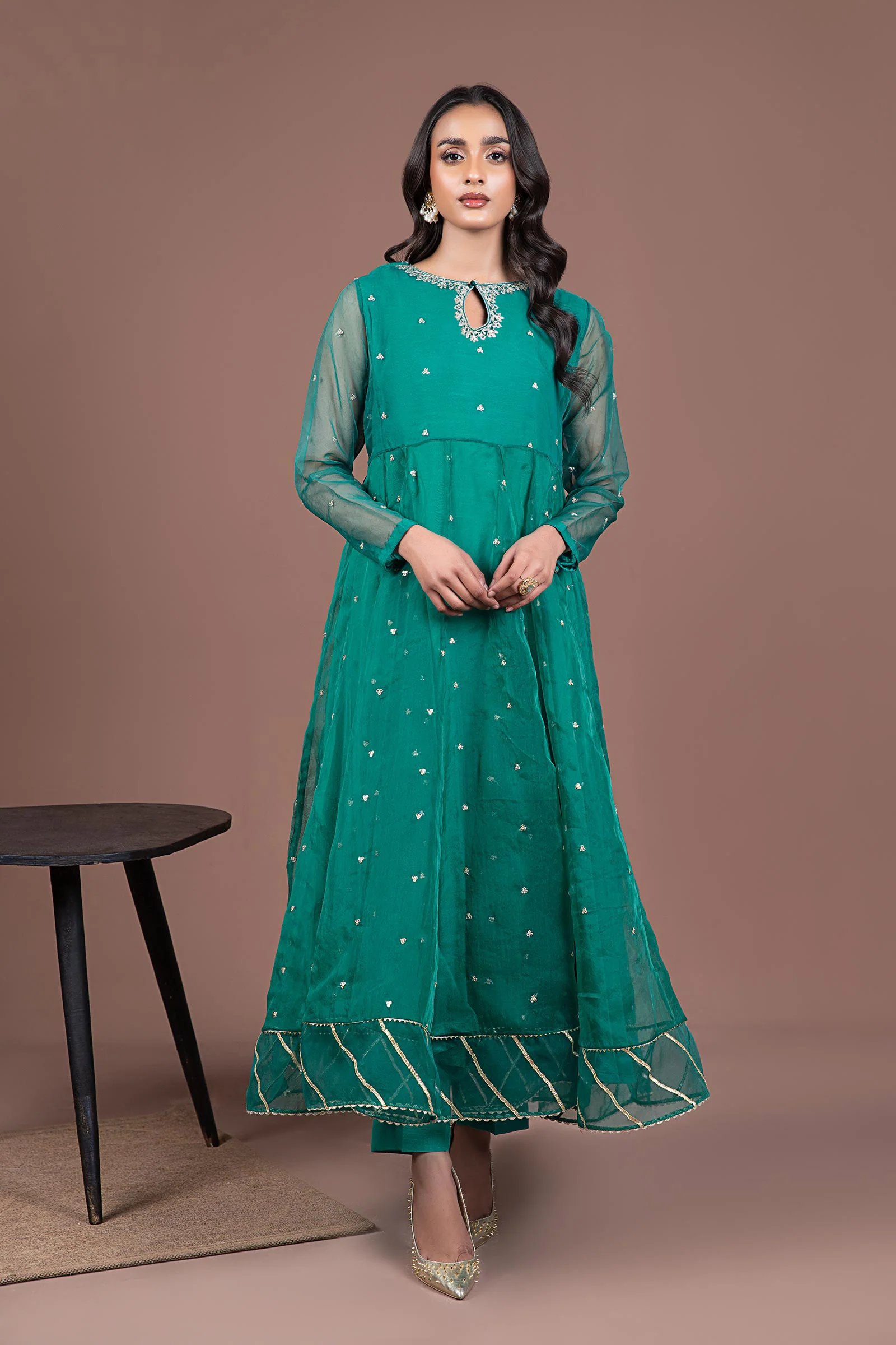 2 Piece Embroidered Organza Suit