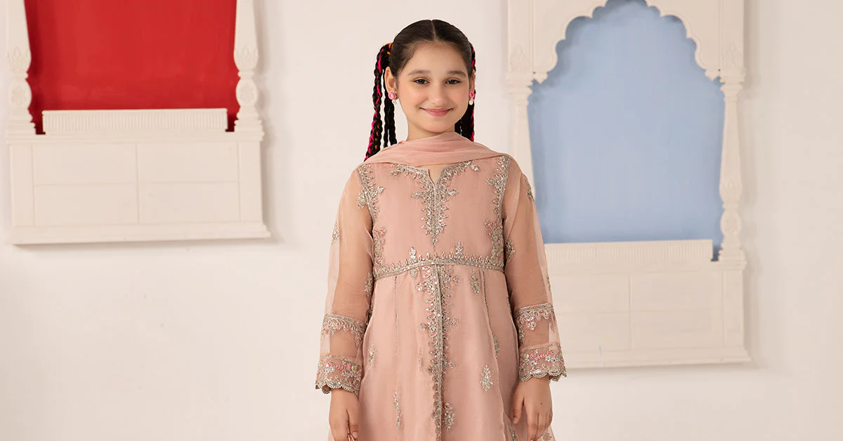 3 Piece Embroidered Organza Suit - Image 6