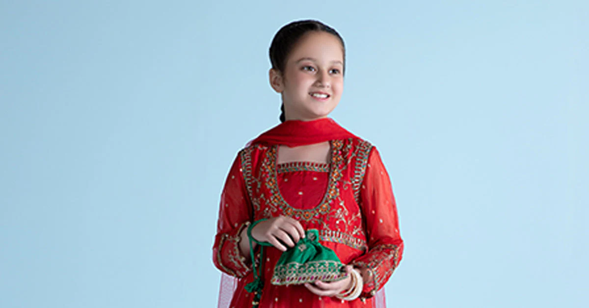3 Piece Embroidered Lurex Organza Suit - Image 8