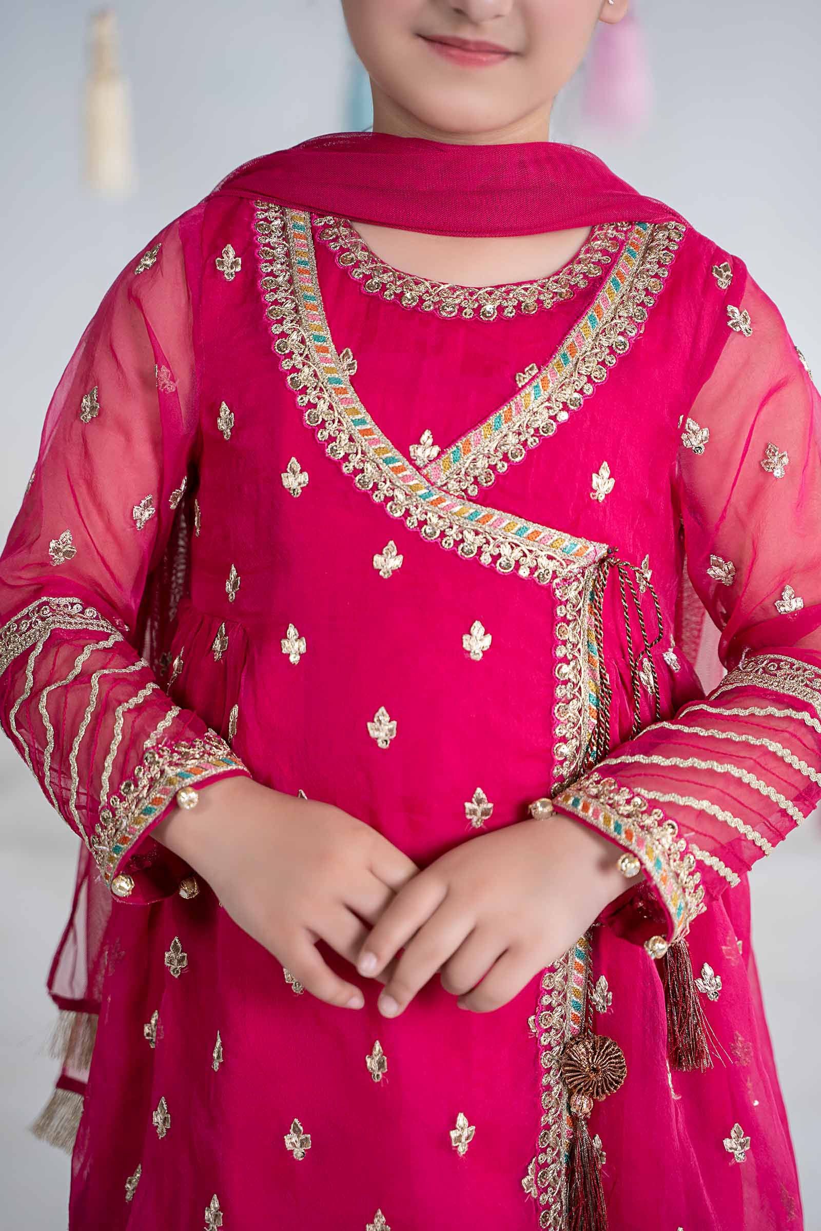 3 Piece Embroidered Organza Suit - Image 3