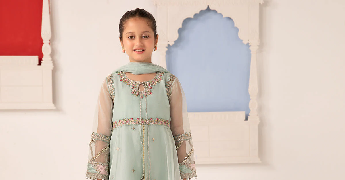 3 Piece Embroidered Organza Suit - Image 4