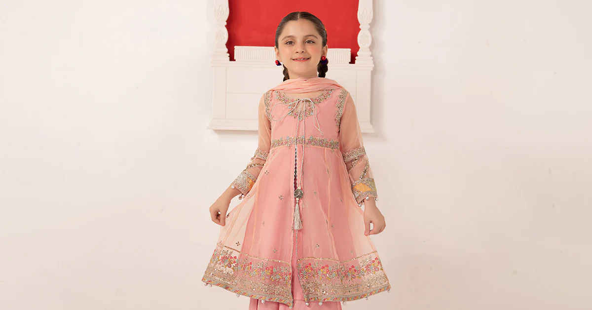 3 Piece Embroidered Organza Suit - Image 5