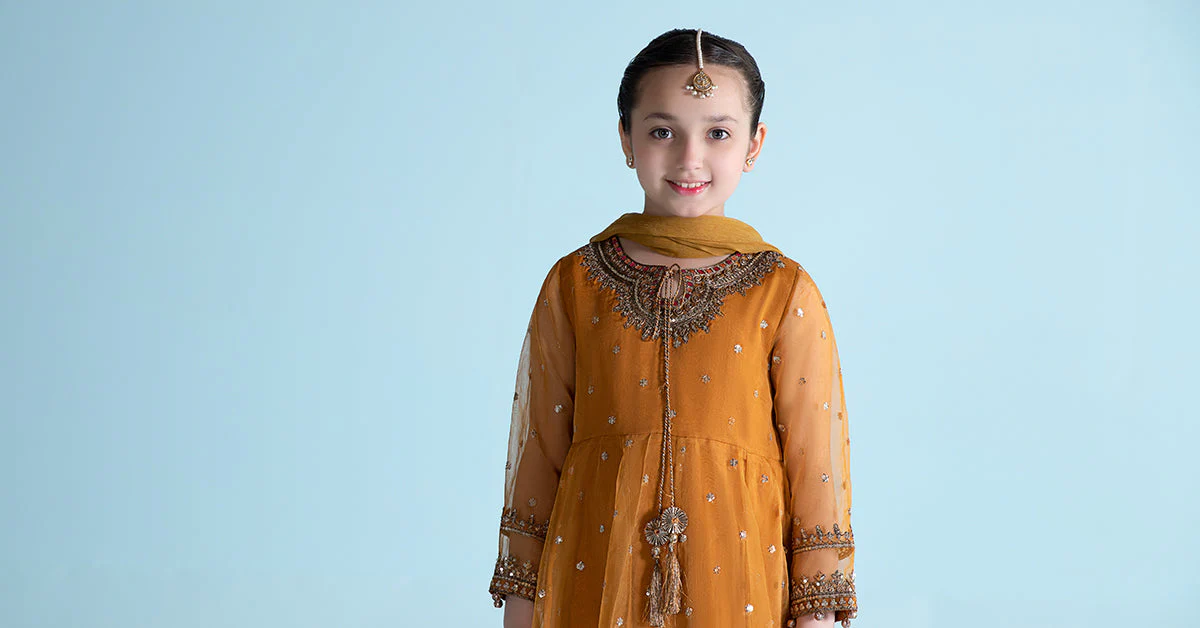 3 Piece Embroidered Organza Suit - Image 7