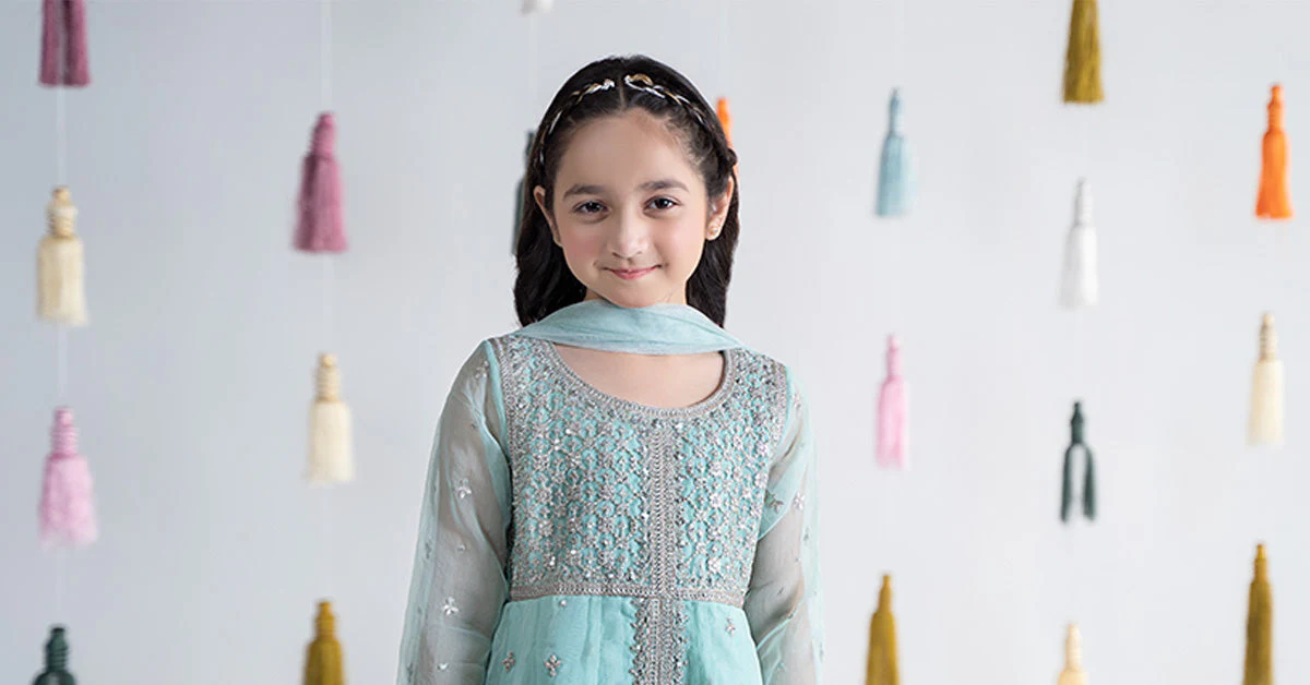 3 Piece Embroidered Organza Suit - Image 9