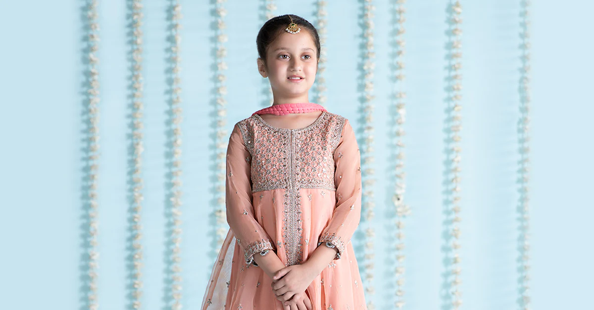 3 Piece Embroidered Organza Suit - Image 7