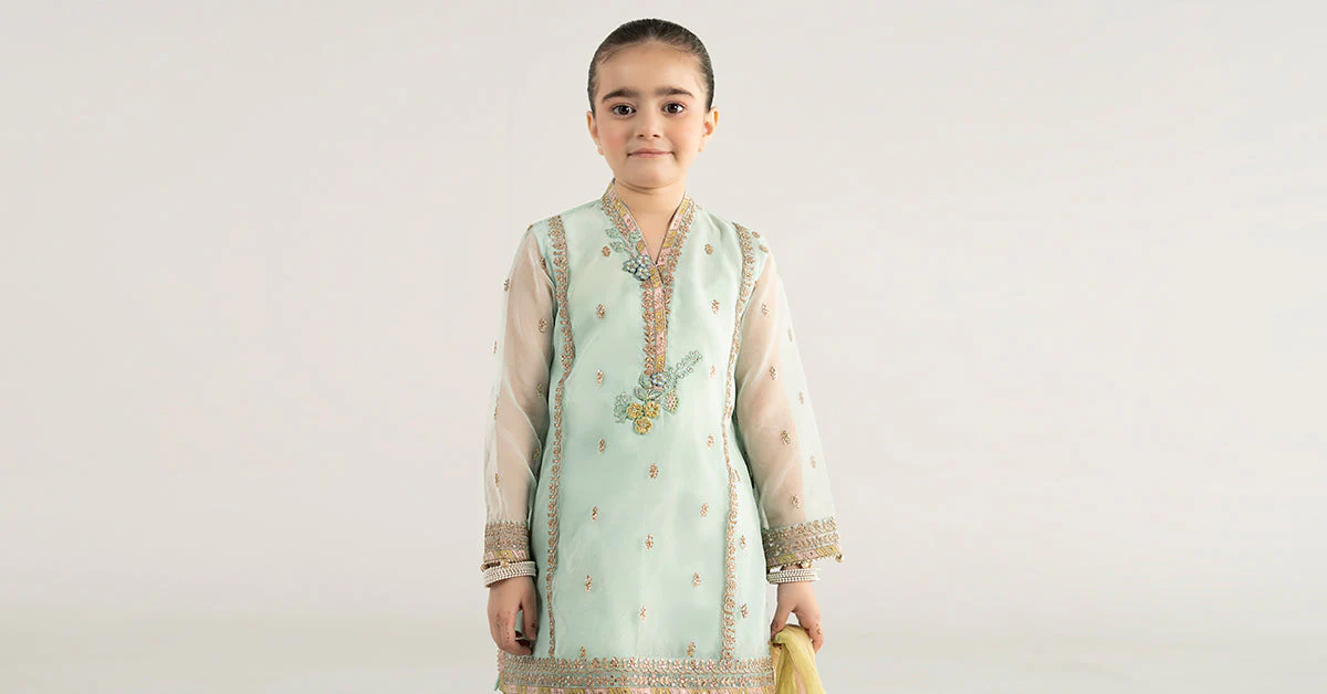 3 Piece Embroidered Poly Organza Suit - Image 9
