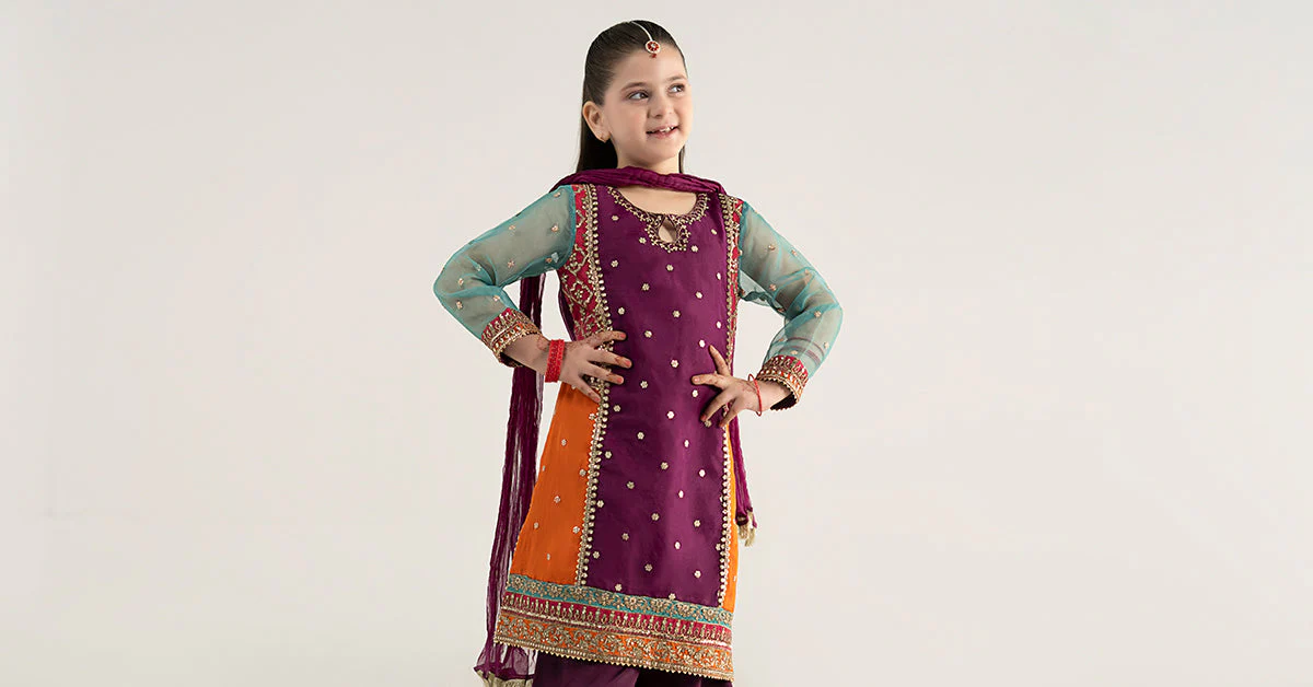 3 Piece Embroidered Poly Organza Suit - Image 8