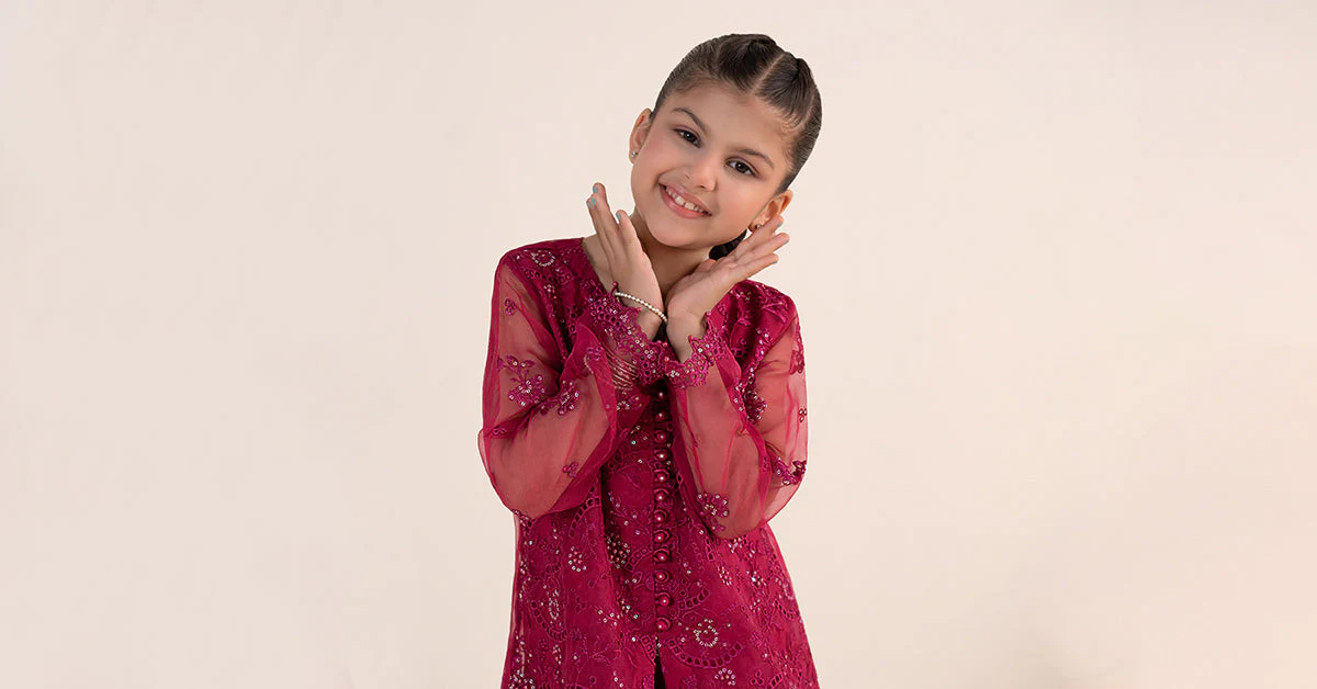 2 Piece Embroidered Organza Suit - Image 10