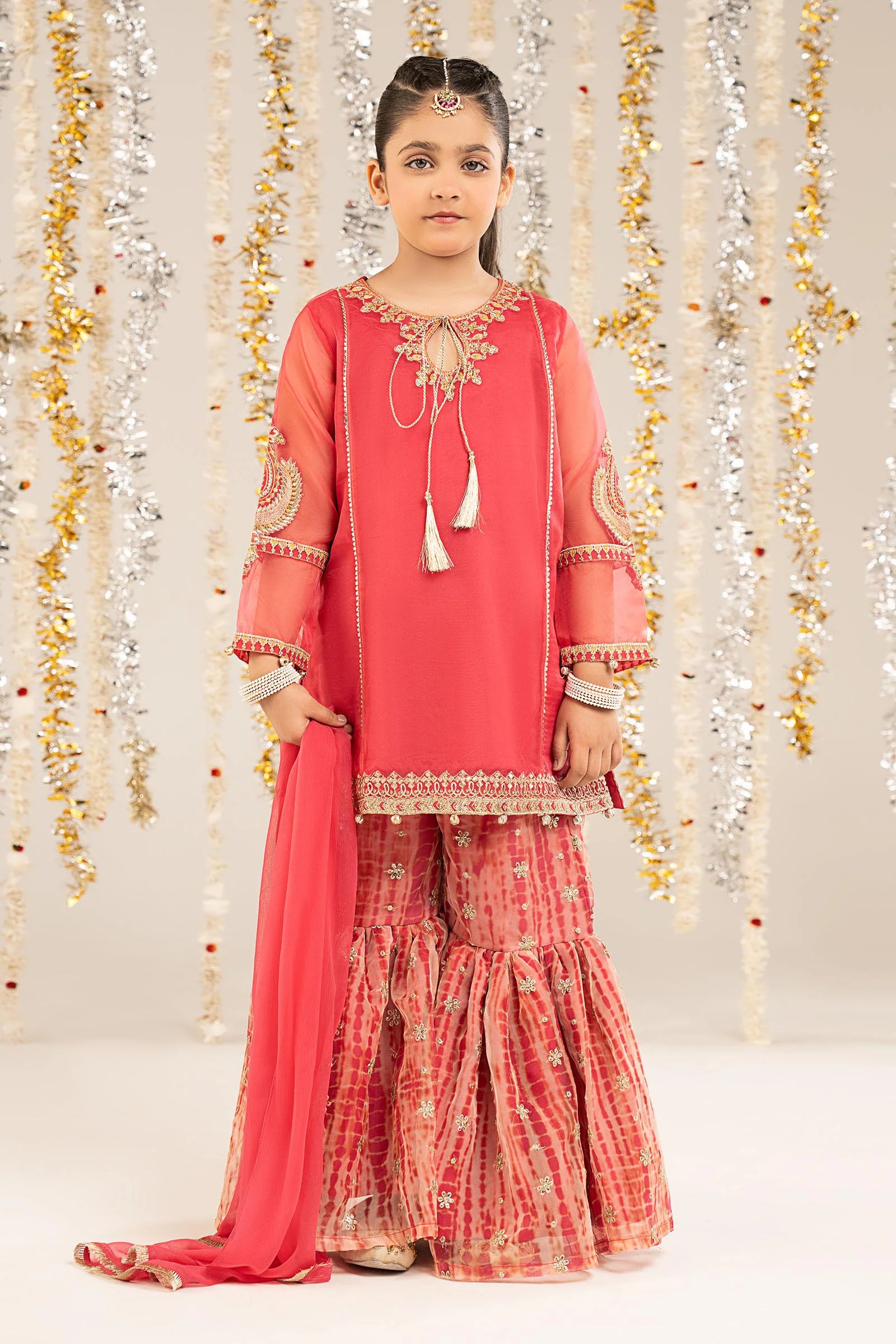 2 Piece Embroidered Organza Suit