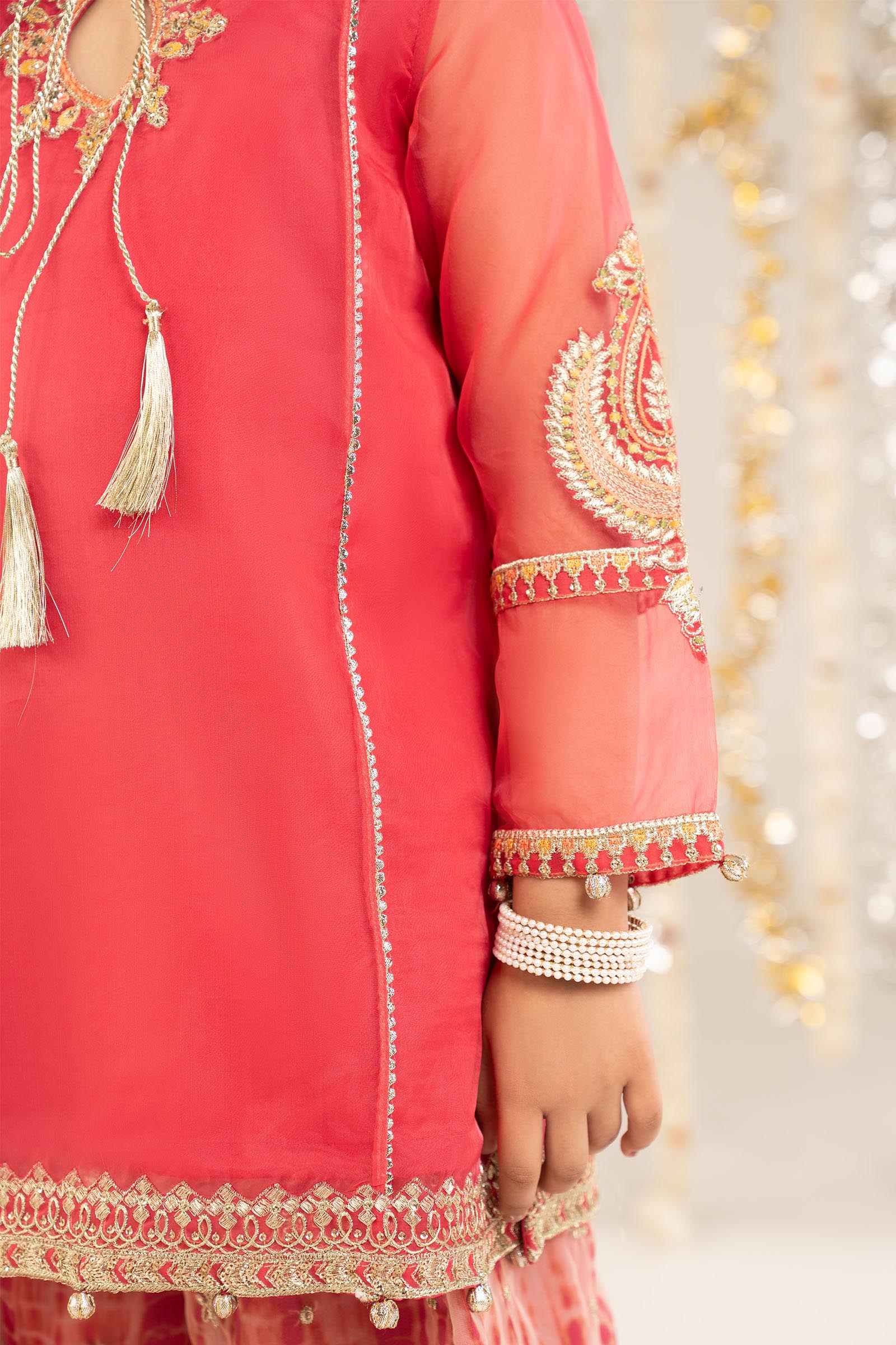 2 Piece Embroidered Organza Suit - Image 4