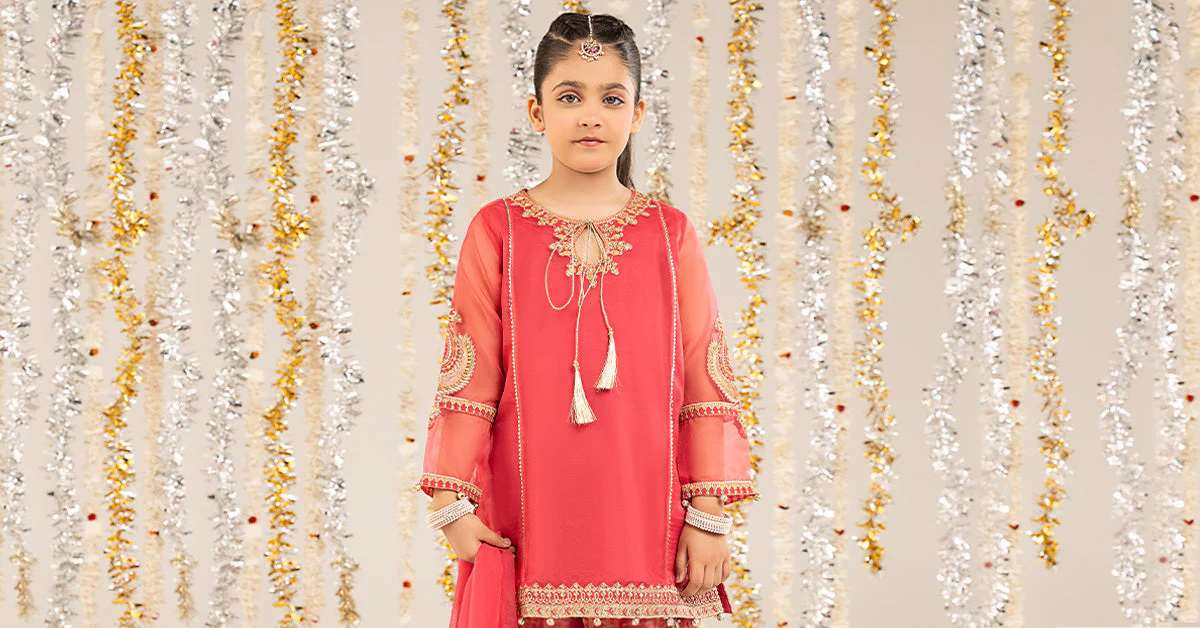 2 Piece Embroidered Organza Suit - Image 8