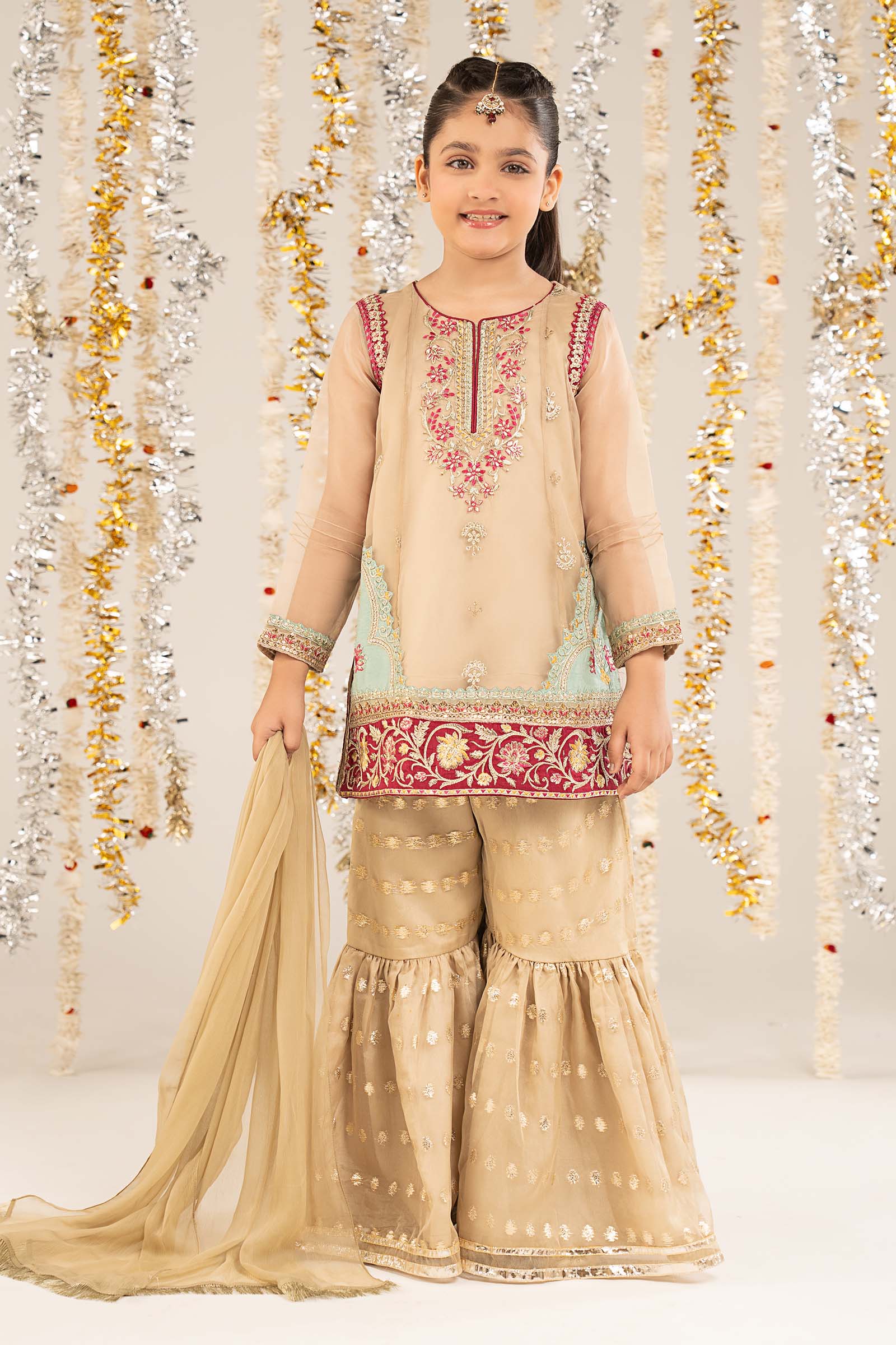 2 Piece Embroidered Organza Suit