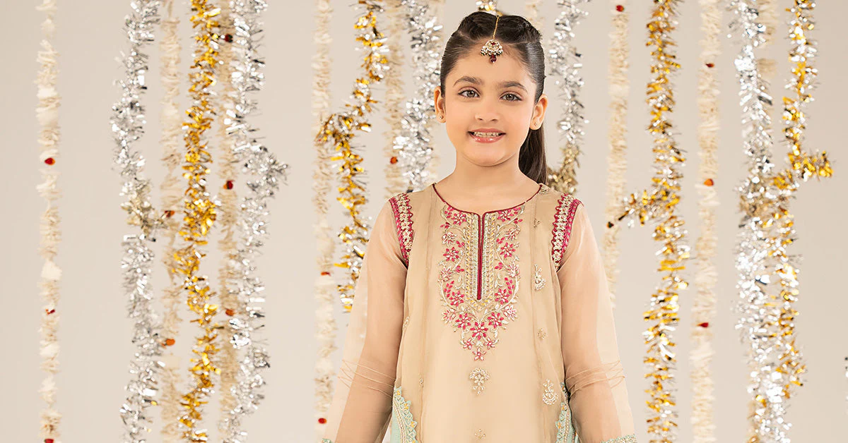 2 Piece Embroidered Organza Suit - Image 8