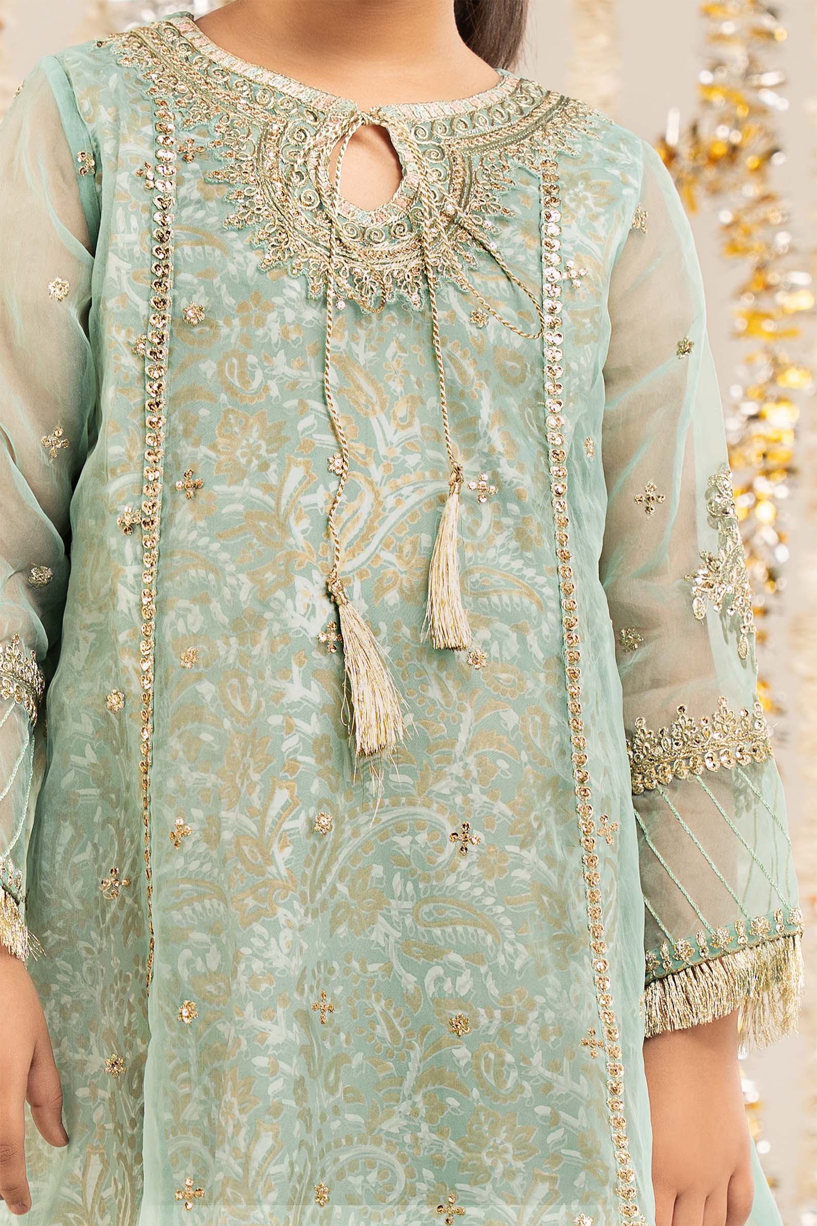2 Piece Embroidered Organza Suit - Image 5