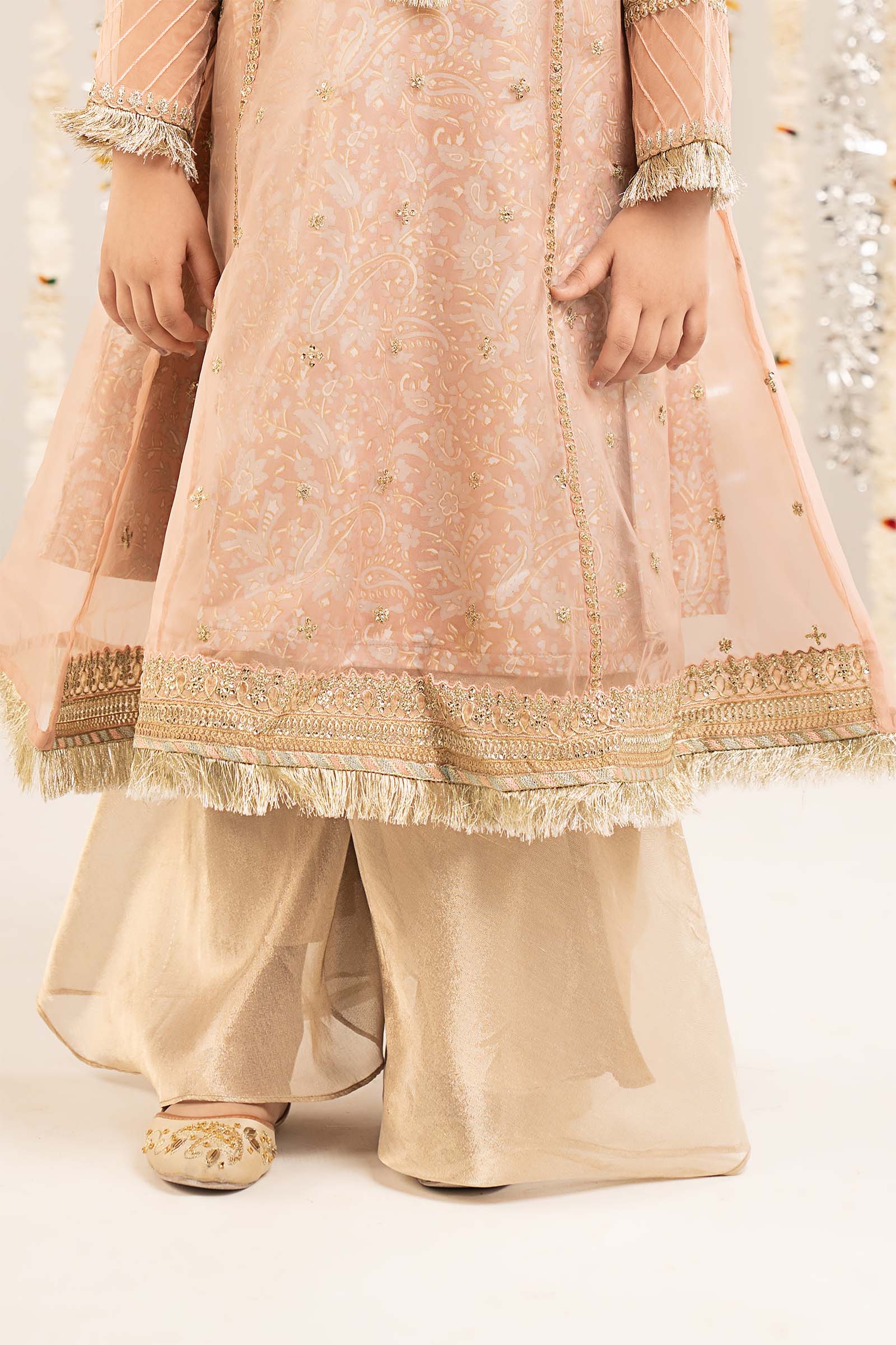 2 Piece Embroidered Organza Suit - Image 6