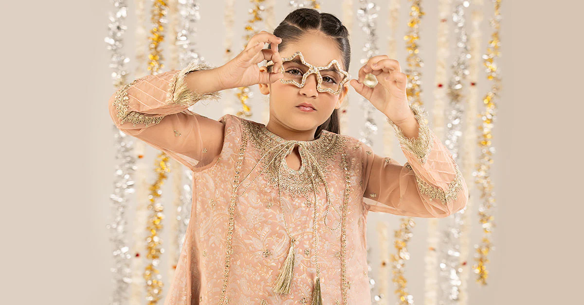 2 Piece Embroidered Organza Suit - Image 9