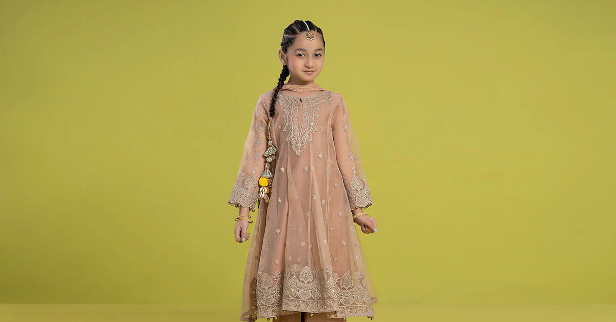 3 Piece Embroidered Organza Suit - Image 9