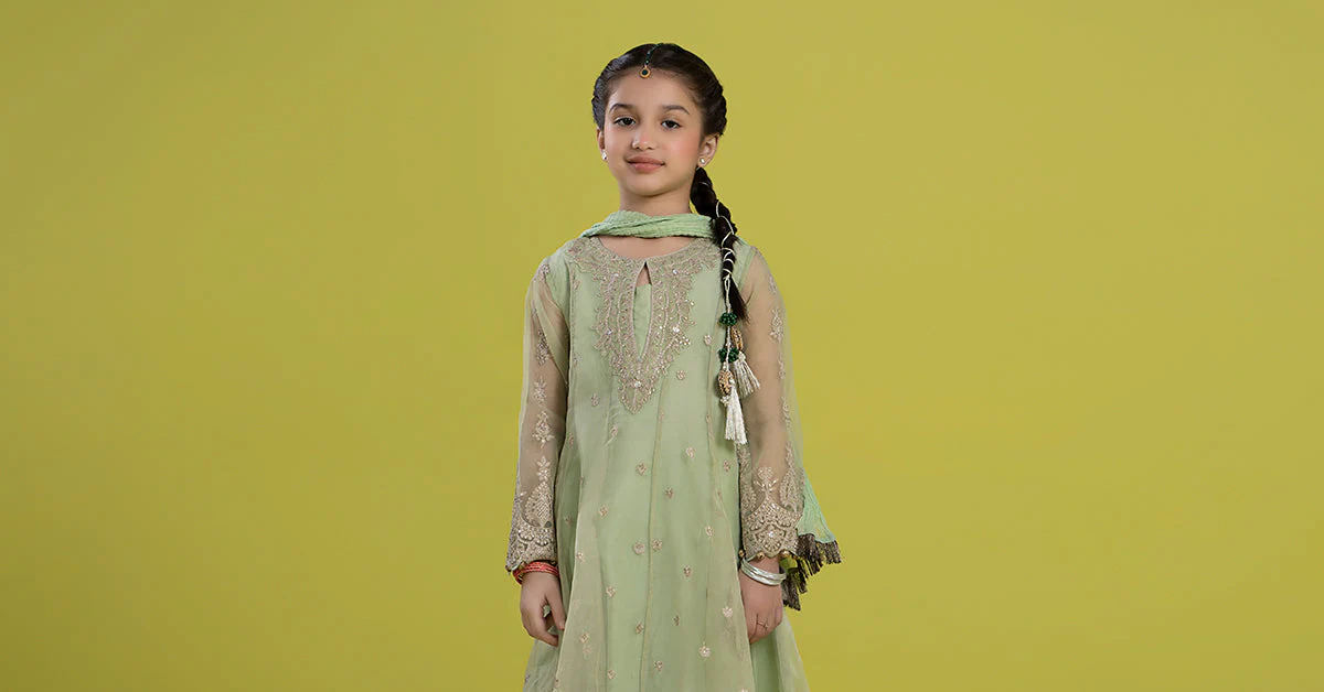 3 Piece Embroidered Organza Suit - Image 7