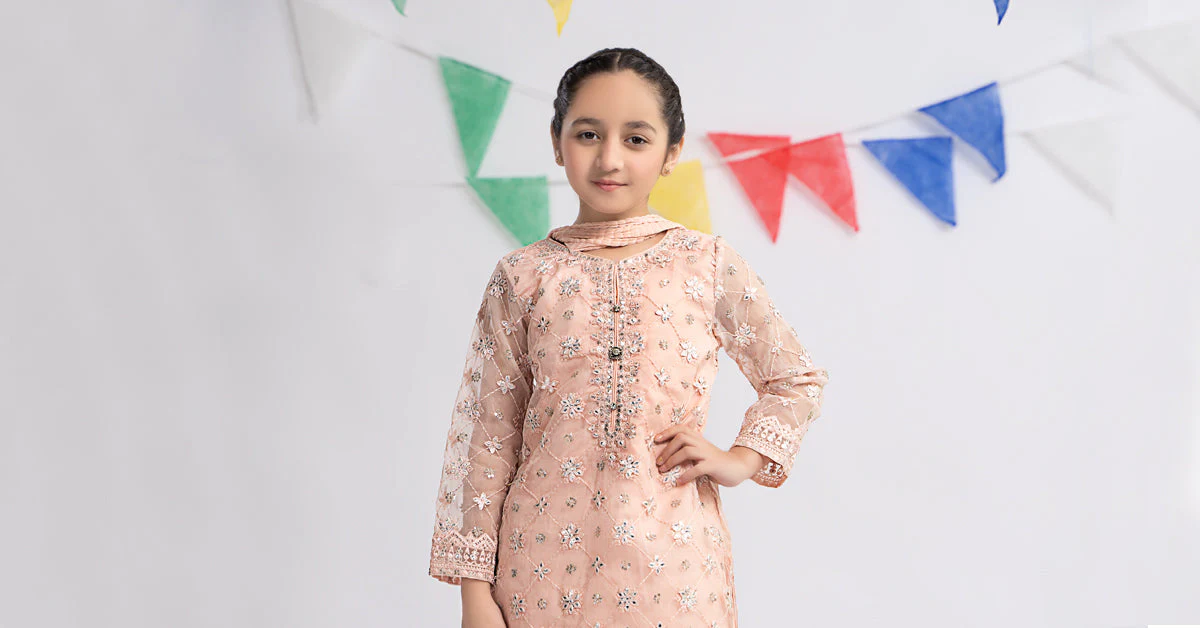 3 Piece Embroidered Organza Suit - Image 8