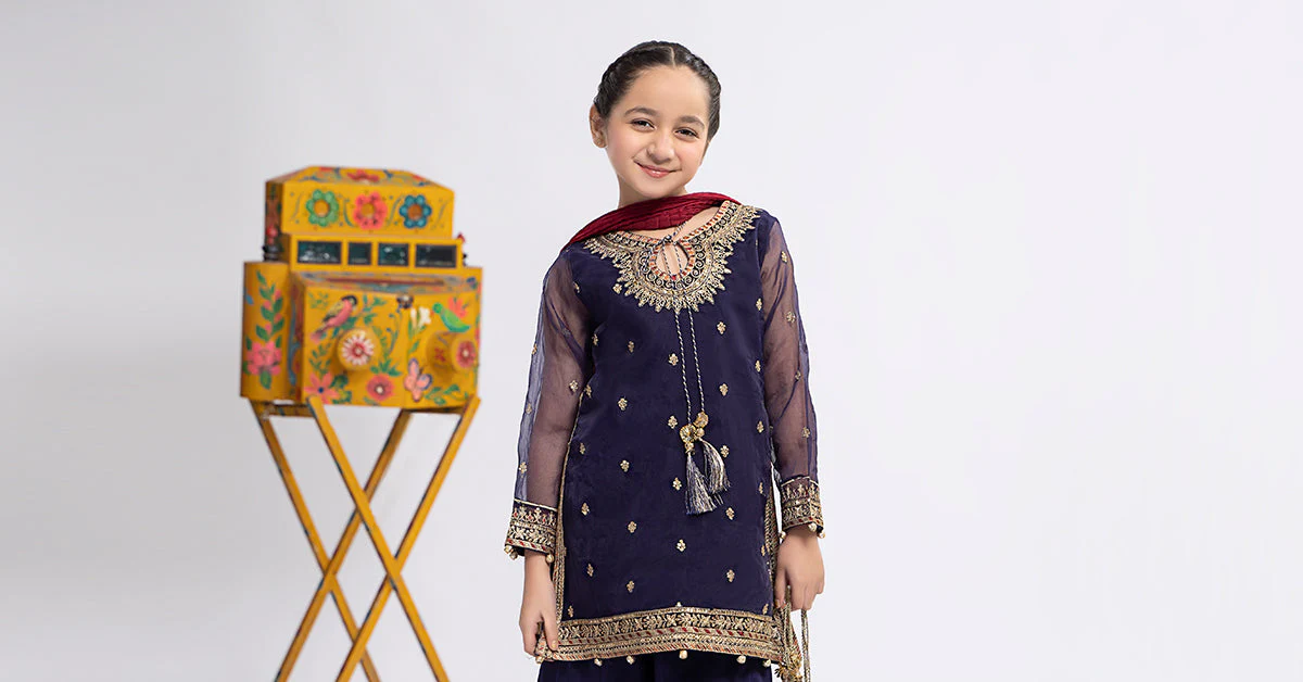 3 Piece Embroidered Organza Suit - Image 8