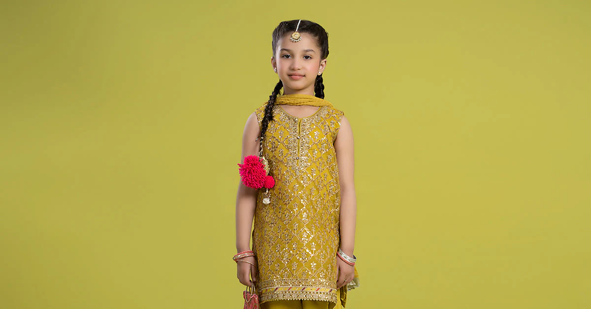 3 Piece Embroidered Organza Suit - Image 7