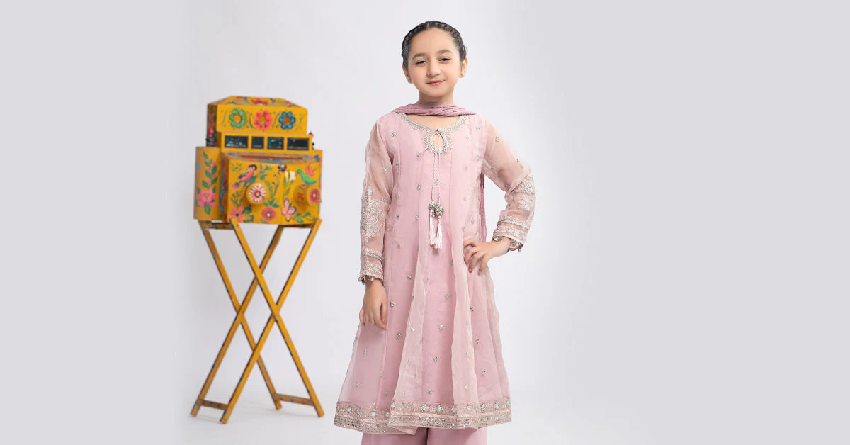 3 Piece Embroidered Organza Suit - Image 6