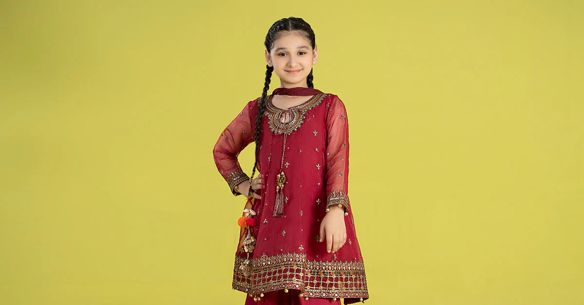 3 Piece Embroidered Organza Suit - Image 7