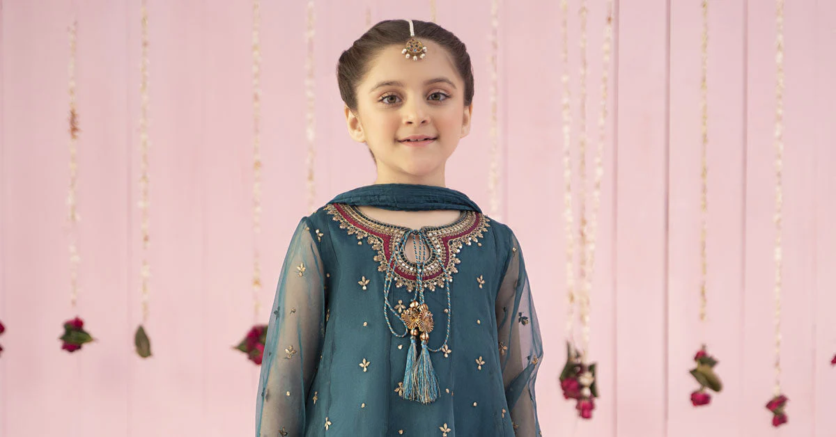 3 Piece Embroidered Organza Suit - Image 9