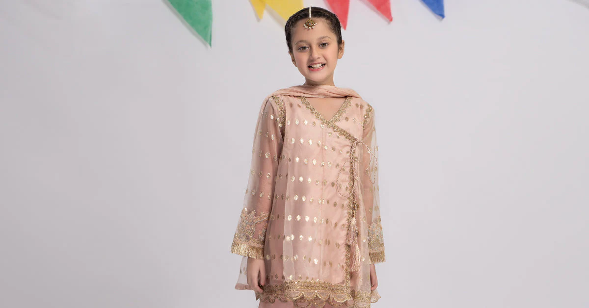 3 Piece Embroidered Organza Suit - Image 7