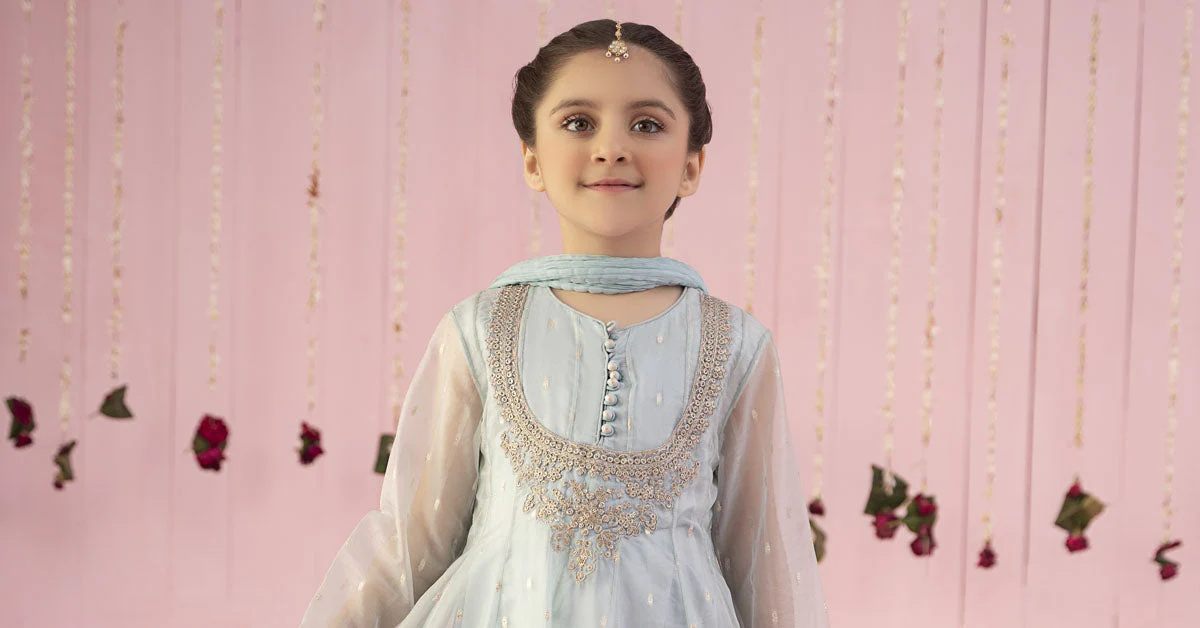 3 Piece Embroidered Organza Suit - Image 7