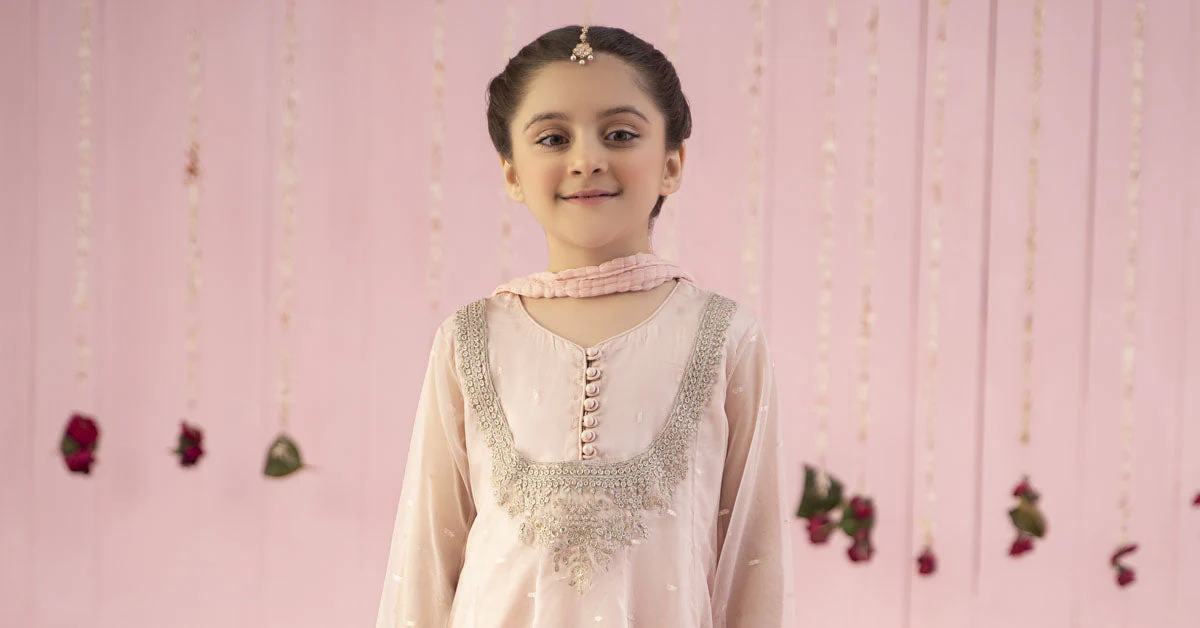 3 Piece Embroidered Organza Suit - Image 8