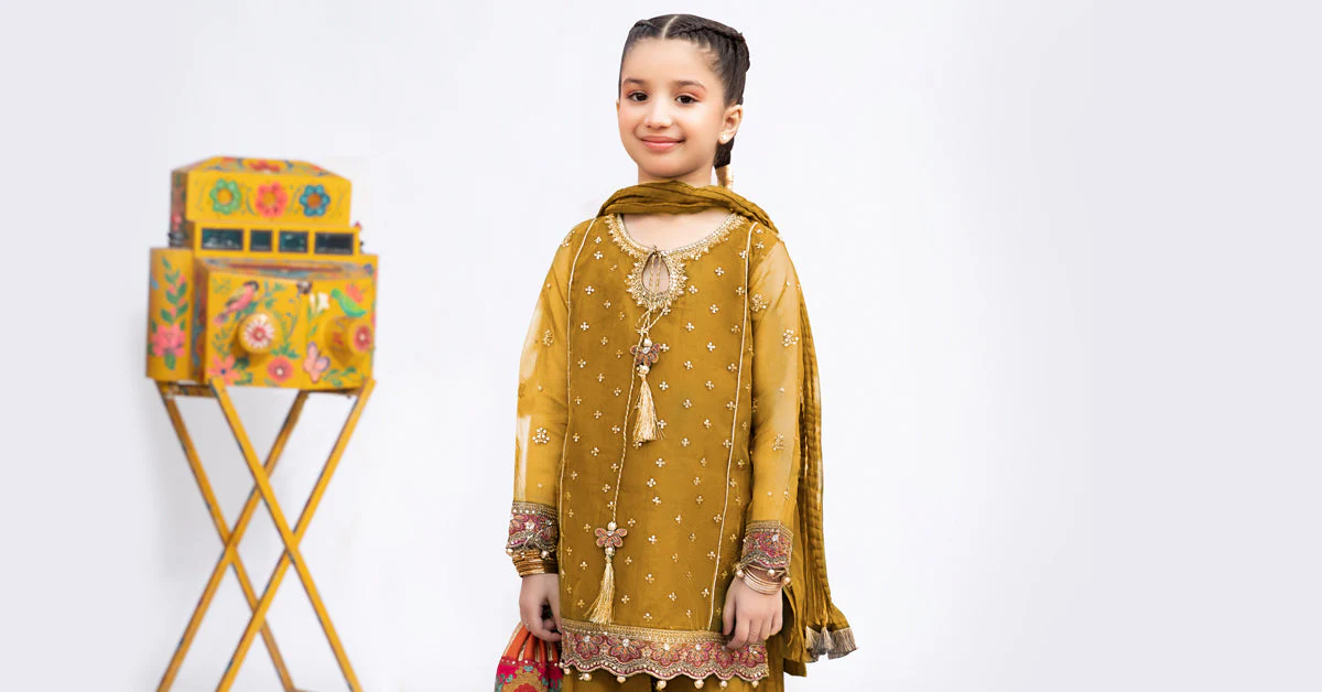 3 Piece Embroidered Organza Suit - Image 6