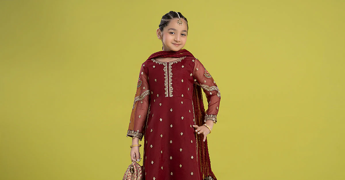 3 Piece Embroidered Organza Suit - Image 7