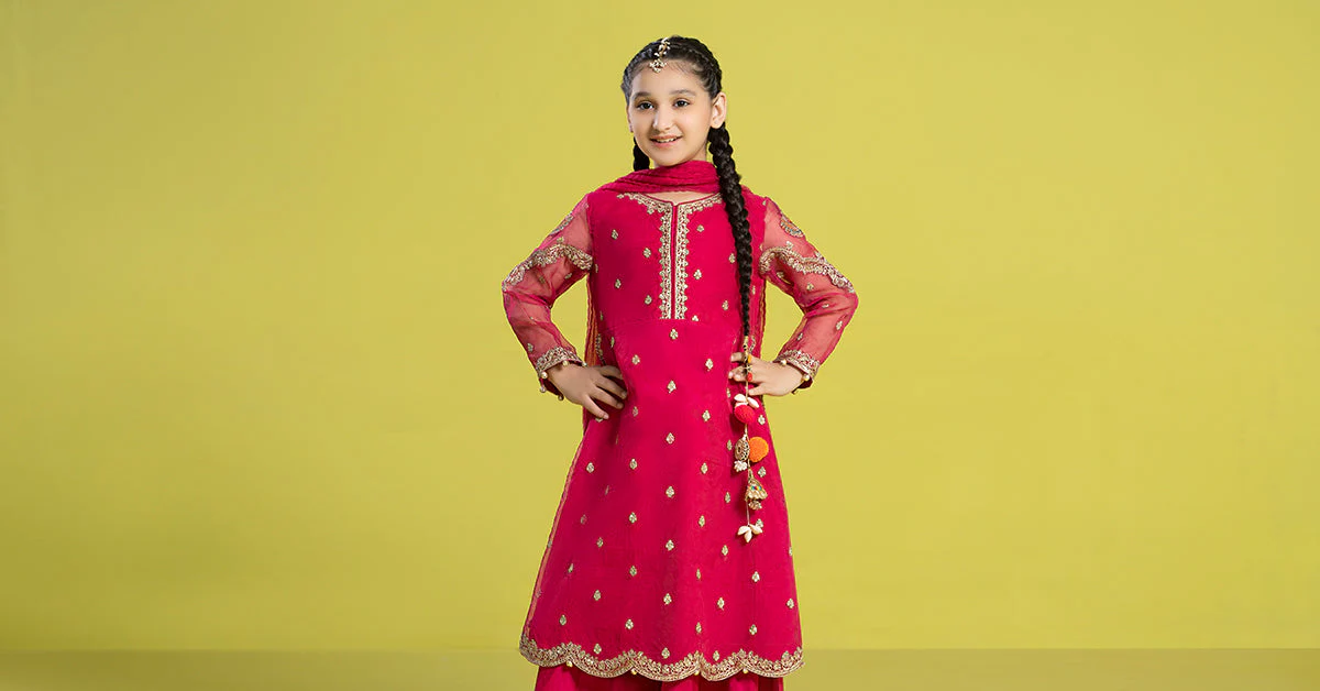 3 Piece Embroidered Organza Suit - Image 9