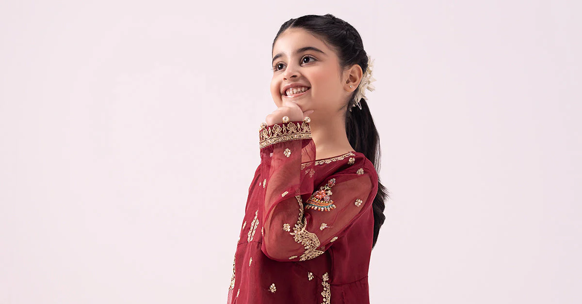 3 Piece Embroidered Organza Suit - Image 6