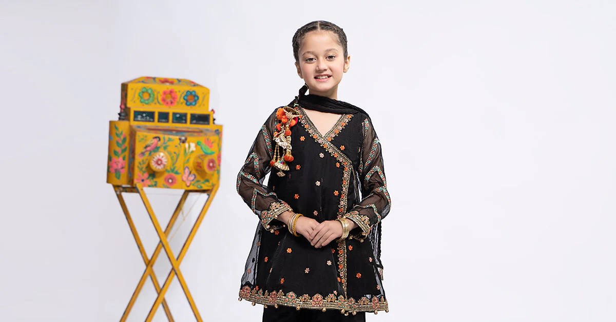 3 Piece Embroidered Organza Suit - Image 8