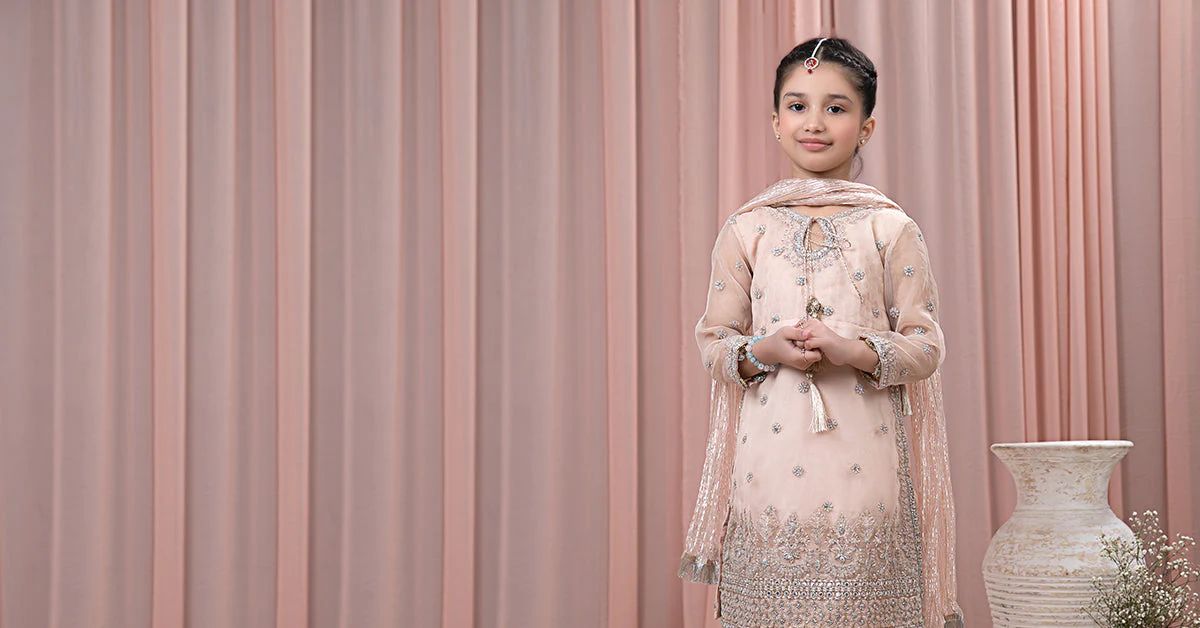 3 Piece Embroidered Organza Suit - Image 7