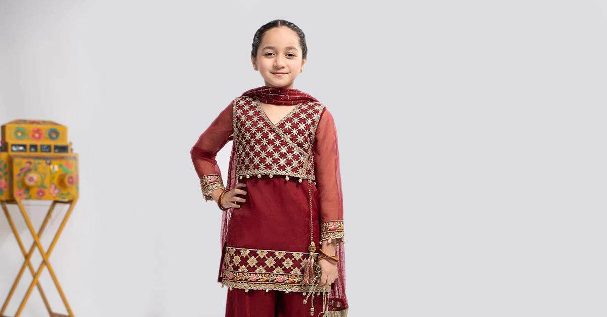 3 Piece Embroidered Organza Suit - Image 6