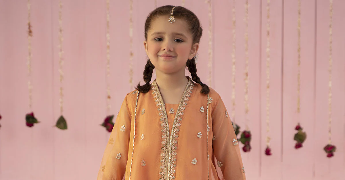3 Piece Embroidered Zari Line Organza Suit - Image 7