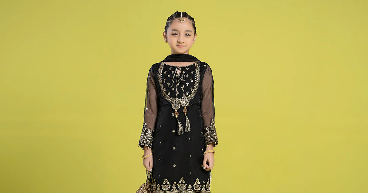 3 Piece Embroidered Organza Suit - Image 8