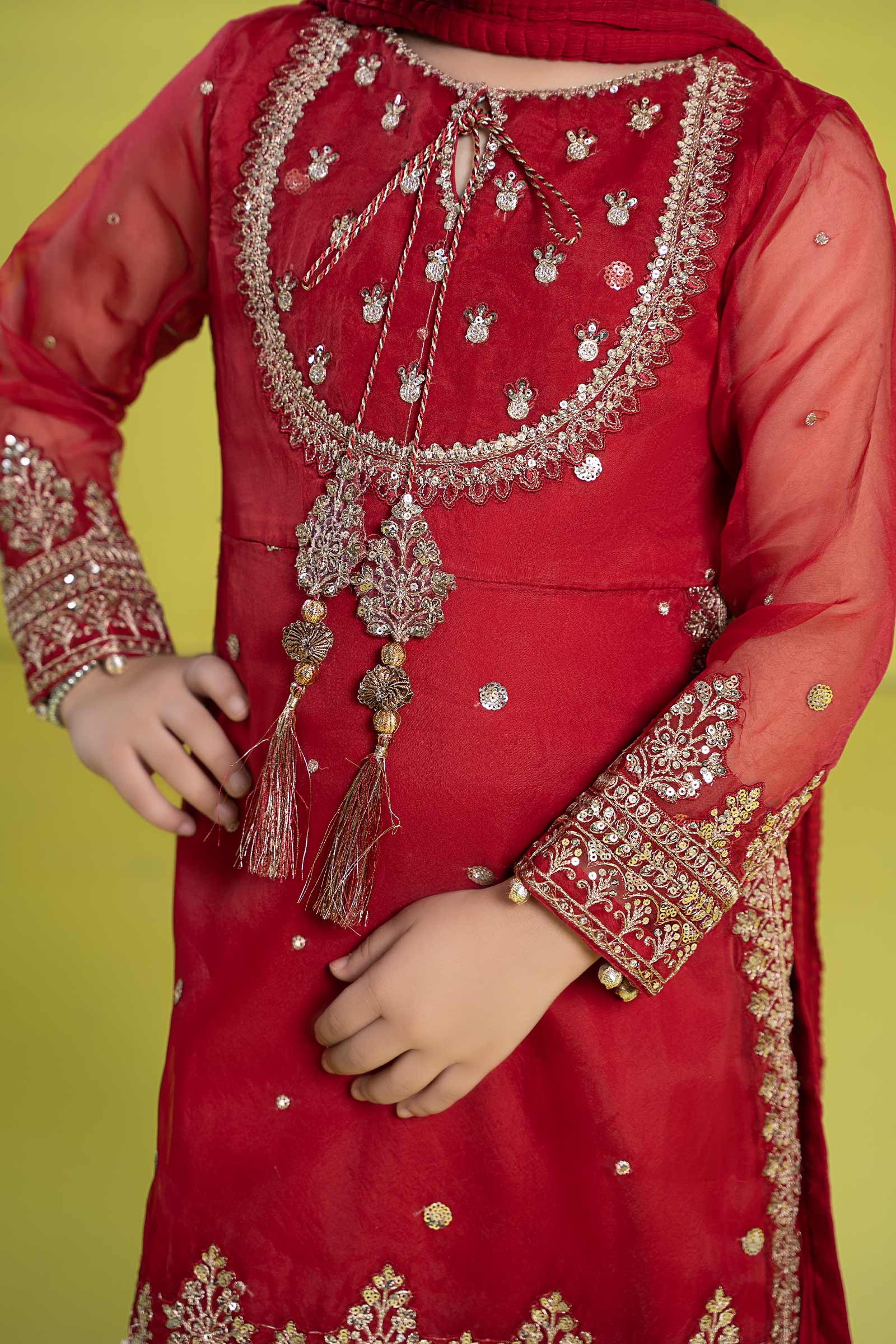 3 Piece Embroidered Organza Suit - Image 5