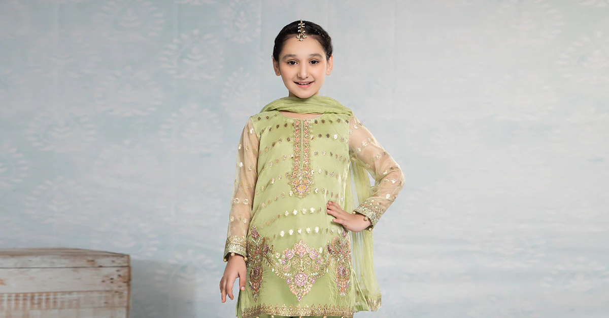 3 Piece Embroidered Organza Suit - Image 7